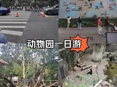 -杭州动物园