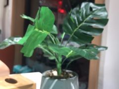 -渔码头食府·20年蓬莱老字号(登州路店)
