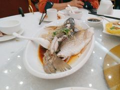 泉水浸鲩鱼-畔山酒店中餐厅