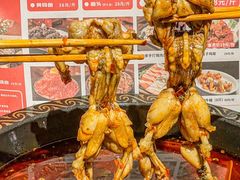 -蛙老爹·蜀香美蛙鱼头(王家湾店)