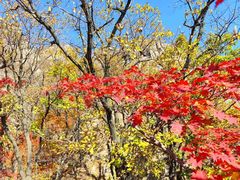 -丹东市五龙山风景区