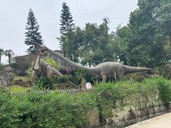 -自贡恐龙博物馆
