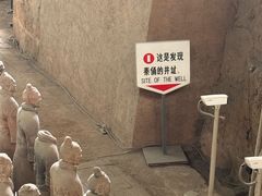 -秦始皇帝陵博物院-丽山园