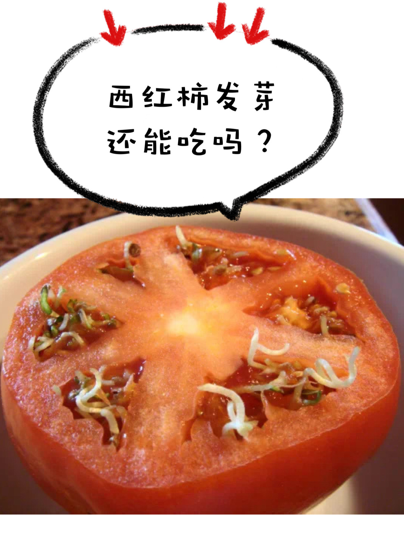 六种人不宜喝蜂蜜吃了半小西红柿会中毒吗的简单介绍