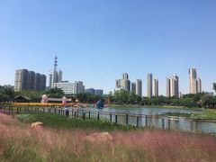 -映月湖公园