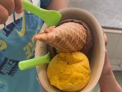 -Mint Gelato(二厂店)