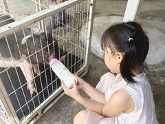 -深圳野生动物园