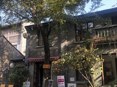 -两棵枇杷树