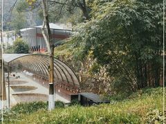 -三江森林温泉度假区