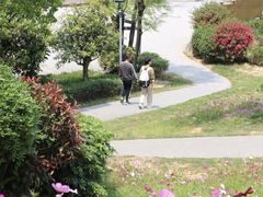 -金鸡山公园