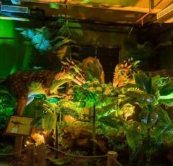 -恐龙探索乐园(磁器口店)