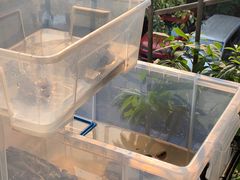 -无味饭店(九眼桥商业文化广场店)