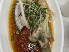 -老大同酒家·糟卤·本帮菜(中山公园店)