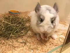 -龙猫仔乐园(惠福东路店)