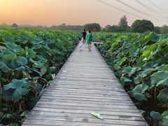 -梁鸿国家湿地公园