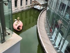-苏州市姑苏区少年宫(沧浪分部)