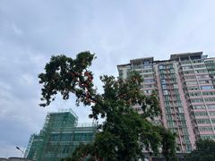 -黄兴南路步行商业街