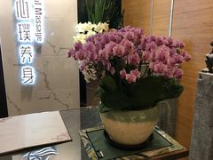 大堂-璞·澐间影院式足道SPA(尚悦湾店)