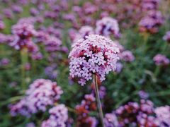 -杭州城北体育公园