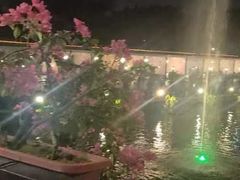 -小洲村
