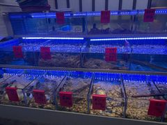 -金海湾海鲜排档(朱家尖店)