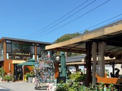 -京北渔家傲