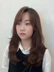 -YESIDO椰岛造型