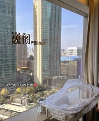 -巍阁高端月子会所