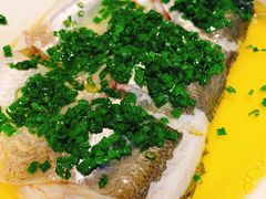 葱油蒸白水鱼-玫瑰厅上海菜(兴国路店)