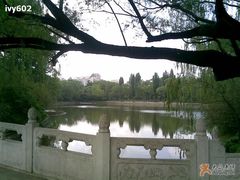 -紫竹院公园冰场