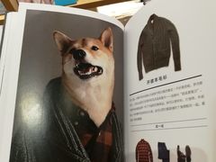 柴犬绅士-当当书店(国泰广场店)