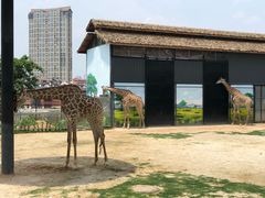 -灵玲国际马戏城