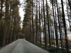 -上海滴水湖皇冠假日酒店