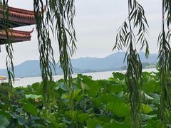 -湖畔居茶楼(湖滨店)