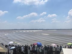-观潮胜地公园