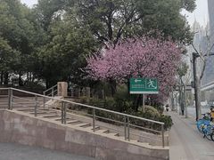 -武昌江滩