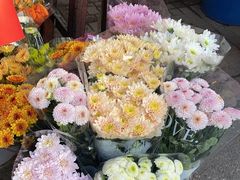 -循礼门鲜花花市(武汉循礼门店)