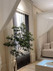 -奥斯芬欧系贵族SPA