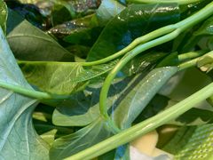 -马帮菜馆·美味野生菌