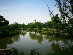 -鹅湖玫瑰文化园
