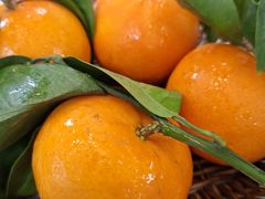 -津津名菜馆(绝没分店)