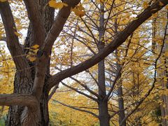 -辽宁大学(崇山校区)