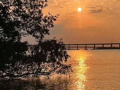 -宝安西湾红树林湿地公园