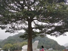 -广州市石门国家森林公园