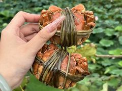 -七的湖·晚芳亭·阳澄湖农家菜·大闸蟹(莲花岛店)