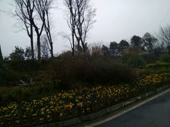 -白鹭湾湿地公园