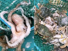 -桔子海鲜烧烤大排档(台东店)