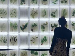 -广东中医药博物馆