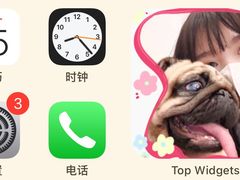 -和它·交个朋友·狗咖猫咖(爱琴海店)