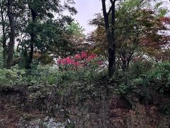 -岳麓山风景名胜区